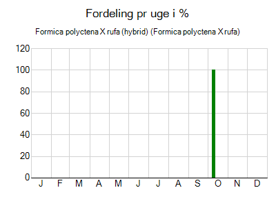 Formica polyctena X rufa (hybrid) - ugentlig fordeling