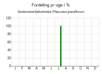 Storblomstret Ballonklokke - ugentlig fordeling