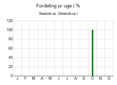 Steatoda sp. - ugentlig fordeling
