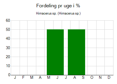 Himacerus sp. - ugentlig fordeling