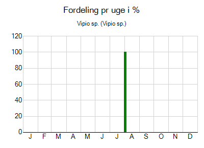 Vipio sp. - ugentlig fordeling