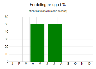 Micaria micans - ugentlig fordeling