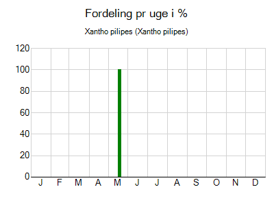 Xantho pilipes - ugentlig fordeling