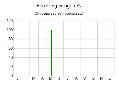 Chrysomela sp. - ugentlig fordeling