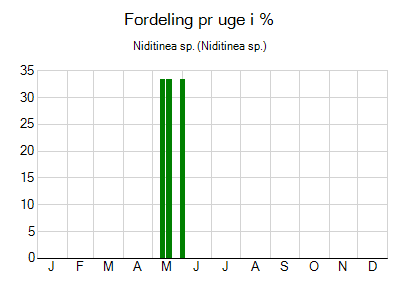 Niditinea sp. - ugentlig fordeling