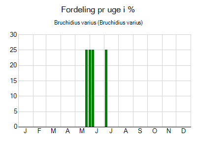 Bruchidius varius - ugentlig fordeling