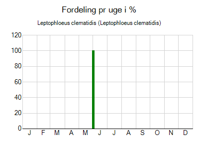 Leptophloeus clematidis - ugentlig fordeling