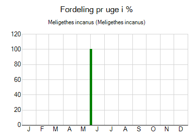 Meligethes incanus - ugentlig fordeling