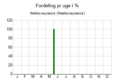 Netelia caucasica  - ugentlig fordeling