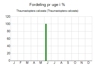 Thaumastoptera calceata - ugentlig fordeling