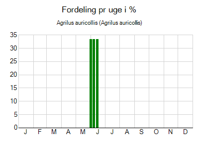 Agrilus auricollis - ugentlig fordeling