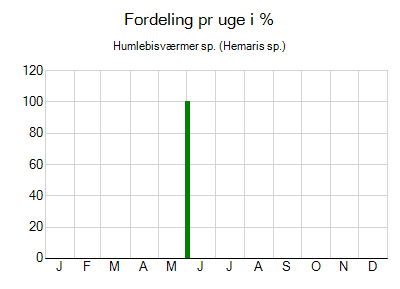 Humlebisværmer sp. - ugentlig fordeling