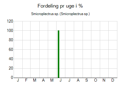 Smicroplectrus sp. - ugentlig fordeling