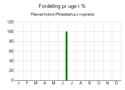 Pibeved-hybrid - ugentlig fordeling