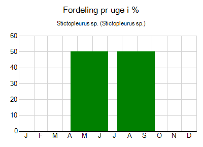 Stictopleurus sp. - ugentlig fordeling