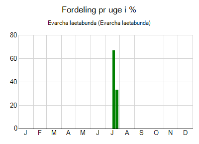 Evarcha laetabunda - ugentlig fordeling