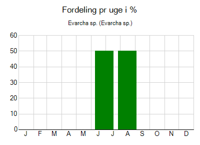 Evarcha sp. - ugentlig fordeling