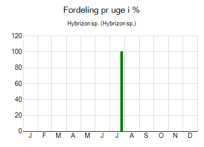 Hybrizon sp. - ugentlig fordeling