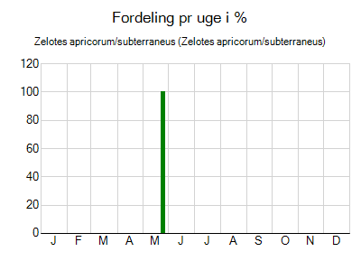 Zelotes apricorum/subterraneus - ugentlig fordeling