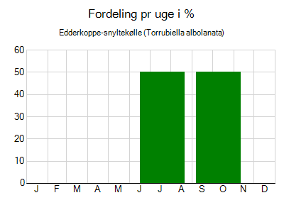 Edderkoppe-snyltekølle - ugentlig fordeling