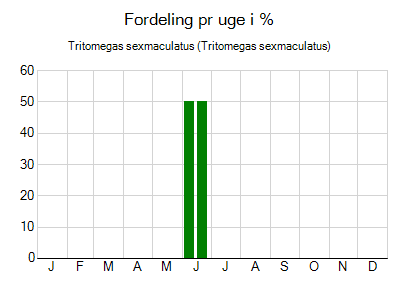 Tritomegas sexmaculatus - ugentlig fordeling