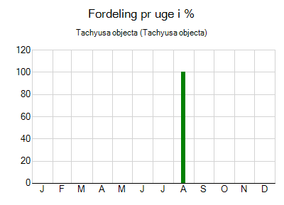 Tachyusa objecta - ugentlig fordeling