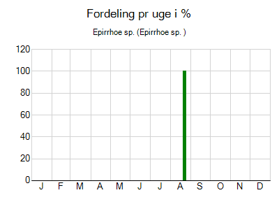 Epirrhoe sp. - ugentlig fordeling