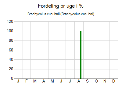 Brachycolus cucubali - ugentlig fordeling