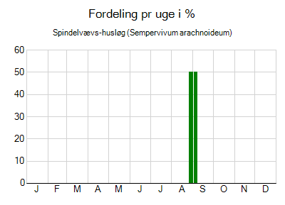 Spindelvævs-husløg - ugentlig fordeling