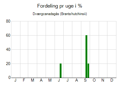 Dværgcanadagås - ugentlig fordeling