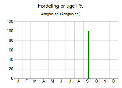 Anagrus sp. - ugentlig fordeling