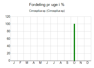 Cirrospilus sp. - ugentlig fordeling