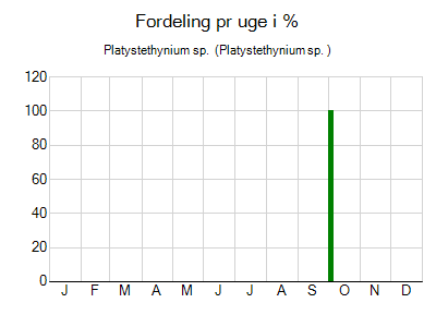 Platystethynium sp.  - ugentlig fordeling