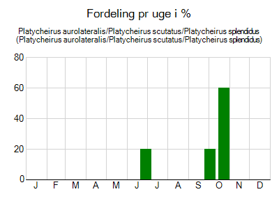 Platycheirus aurolateralis/Platycheirus scutatus/Platycheirus splendidus - ugentlig fordeling