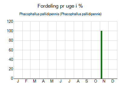 Phacophallus pallidipennis - ugentlig fordeling