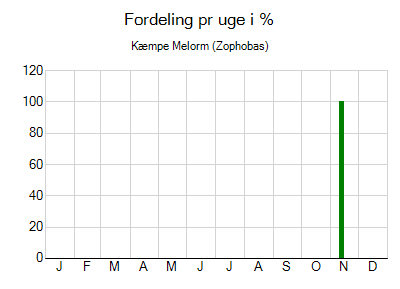 Kæmpe Melorm - ugentlig fordeling