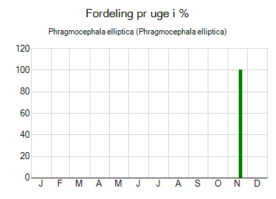 Phragmocephala elliptica - ugentlig fordeling