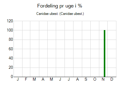 Canidae ubest. - ugentlig fordeling