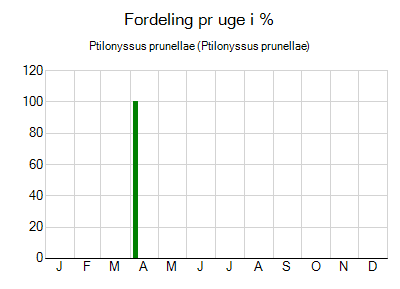 Ptilonyssus prunellae - ugentlig fordeling