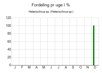 Heterischnus sp. - ugentlig fordeling