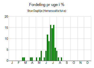 Brun Daglilje - ugentlig fordeling