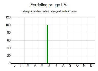 Tetragnatha dearmata - ugentlig fordeling