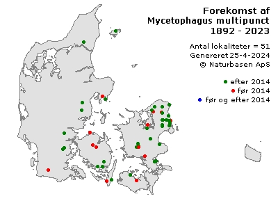 Mycetophagus multipunctatus - udbredelseskort