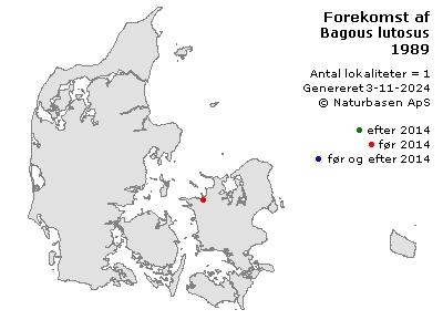 Bagous lutosus - udbredelseskort