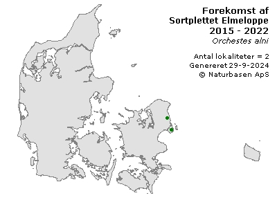 Sortplettet Elmeloppe - udbredelseskort