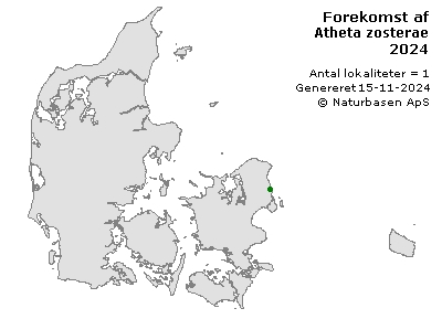 Atheta zosterae - udbredelseskort