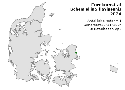 Bohemiellina flavipennis - udbredelseskort