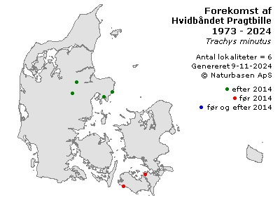 Hvidbåndet Pragtbille - udbredelseskort