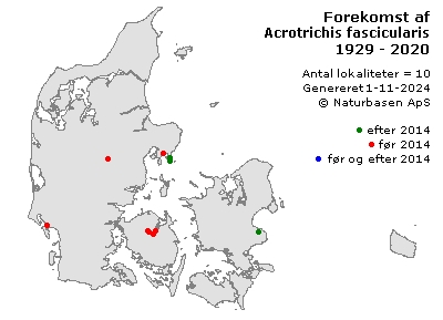 Acrotrichis fascicularis - udbredelseskort