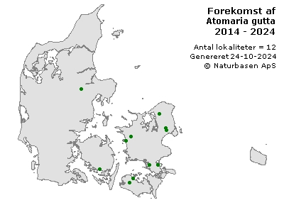 Atomaria gutta - udbredelseskort